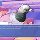 Illustration for article titled What I Learned Trying To Bang Pigeons